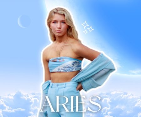 ARIES4