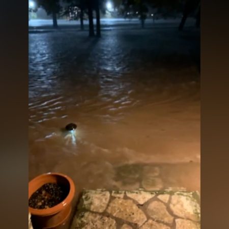 Cedar Park couple wants someone to take responsibility for flooding around home