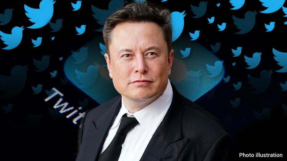 Elon Musk Twitter Bid
