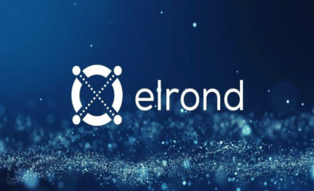 Elrond 1 460x274 1