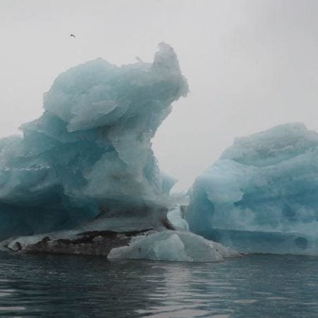 Icey icebergs