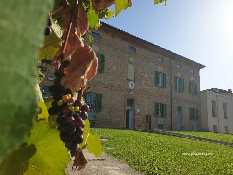 Regional Wine Centre in Lombardy 791x593 1