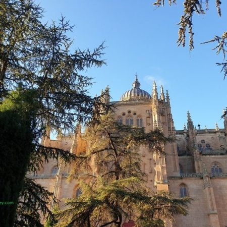 Salamanca University Spain 791x593 1