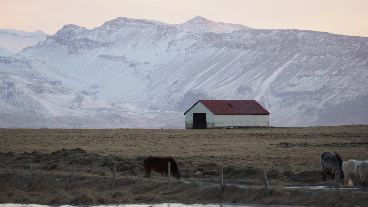 horses barn mountain lighter cam